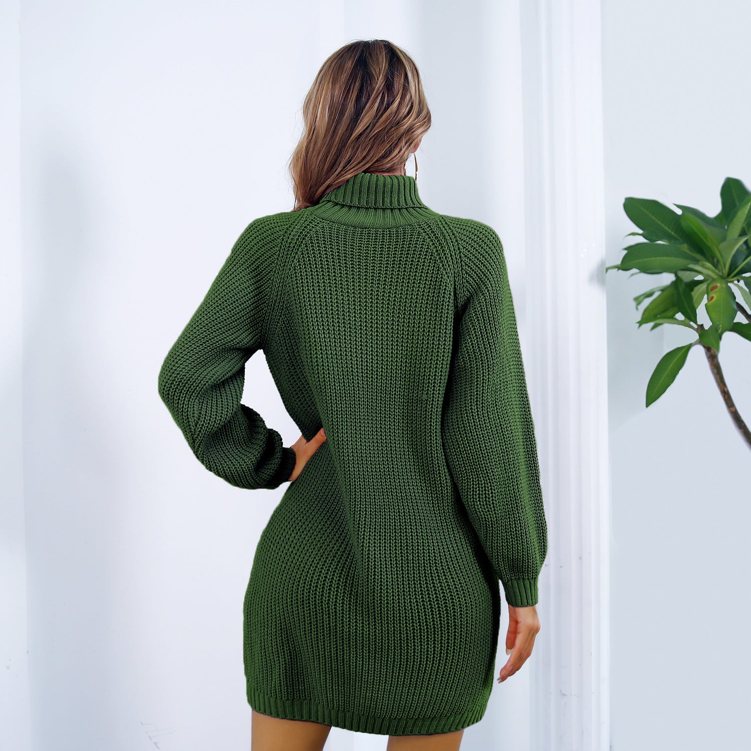 Winter Turtleneck Long Sleeve Sweater Dress for Women with Button Detail